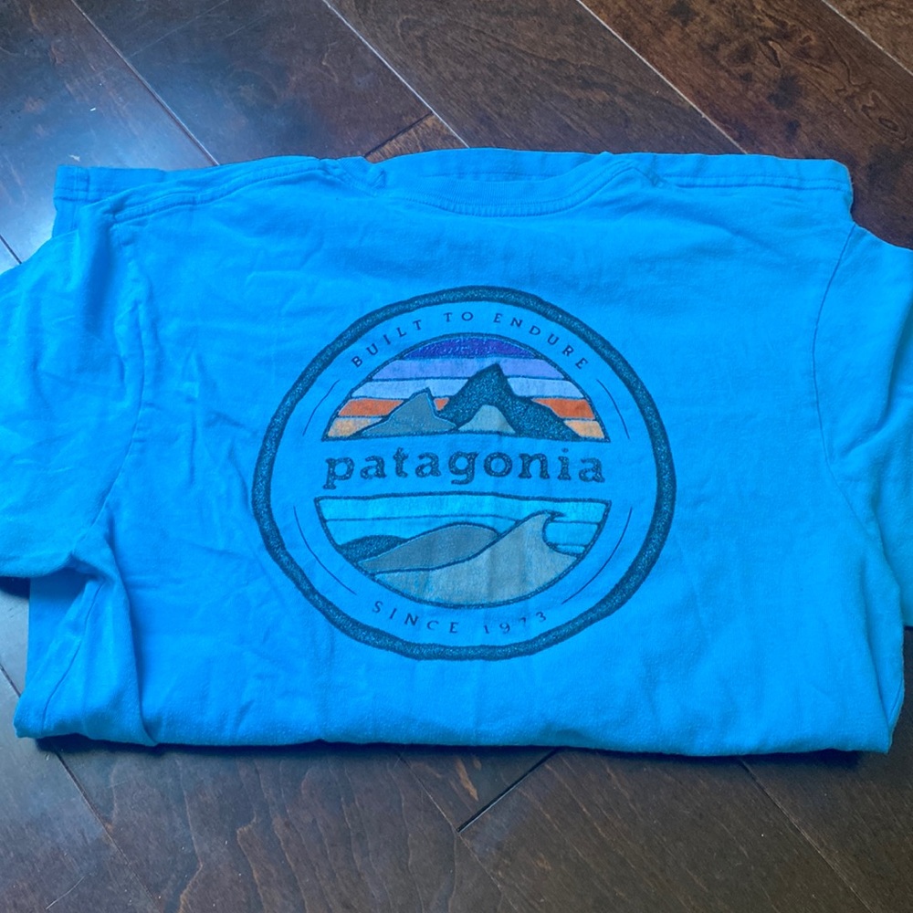 Patagonia regular fit tee